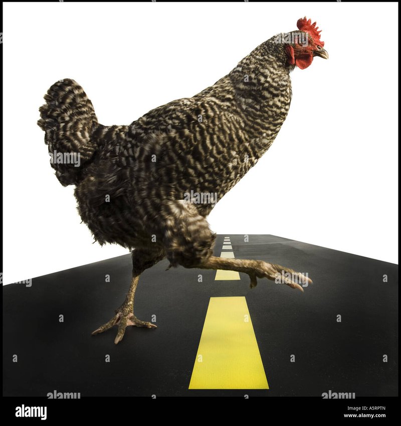 Best chicken road oficial in Spain